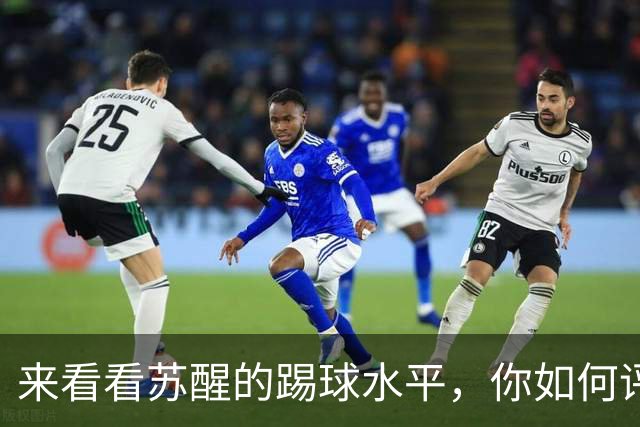 来看看苏醒的踢球水平，你如何评价？